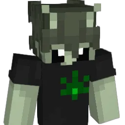 qnch0r Minecraft avatar bust