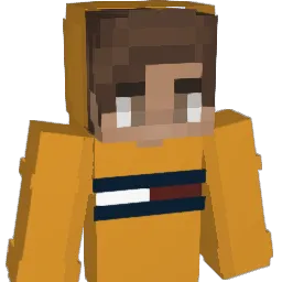 qpRobin Minecraft avatar bust
