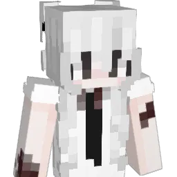 qpir6ba Minecraft avatar bust