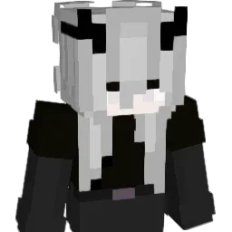 qrqu2 Minecraft avatar bust