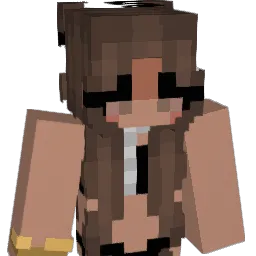 qtxm_ Minecraft avatar bust
