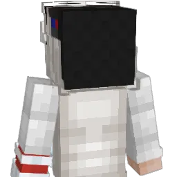 quattro_Wii Minecraft avatar bust