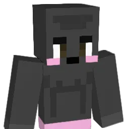 quid2411 Minecraft avatar bust
