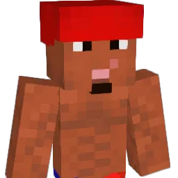 quinientos Minecraft avatar bust