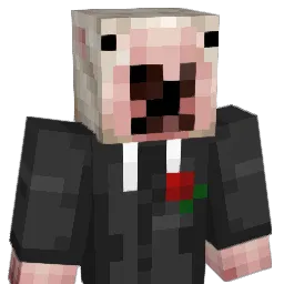 quinnnnnyy Minecraft avatar bust