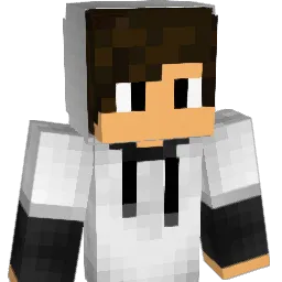 qw_e Minecraft avatar bust