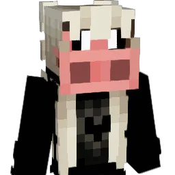 qward1ne_'s Minecraft skin