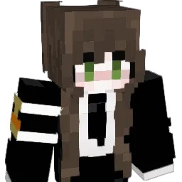 qwll_x26x Minecraft avatar bust