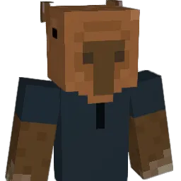 Minecraft-Avatar von r0b1nx_: Büste