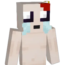 r0d96xo Minecraft avatar bust