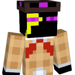 r0nk Minecraft avatar bust