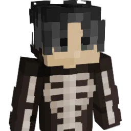 r1nas Minecraft avatar bust