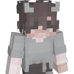 r4yguns Minecraft avatar bust