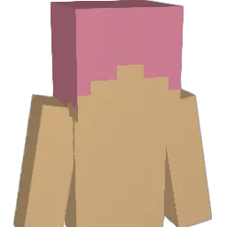 r4ys1s_t Minecraft avatar bust