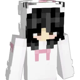 ra1ny007 Minecraft avatar bust