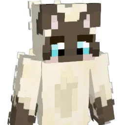 rabebo's Minecraft skin