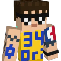 race3414 Minecraft avatar bust