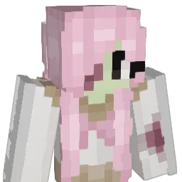 Minecraft-Avatar von rachizzleUwU: Büste