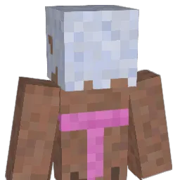 racota Minecraft avatar bust