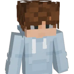 radarr Minecraft avatar bust
