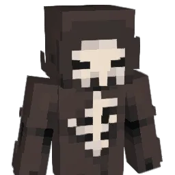 radi_'s Minecraft skin