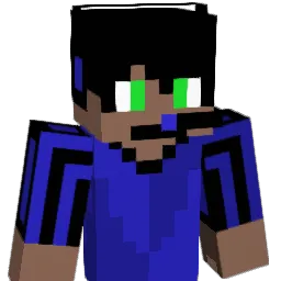 radiobox33 Minecraft avatar bust