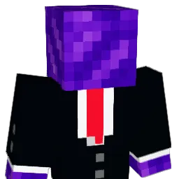 radish27 Minecraft avatar bust