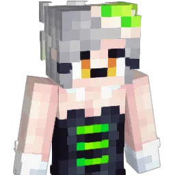 rafasixtyfour's Minecraft skin