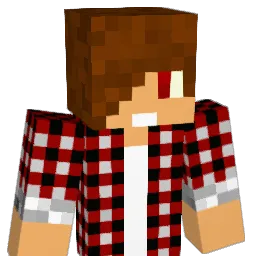 rafoun29 Minecraft avatar bust