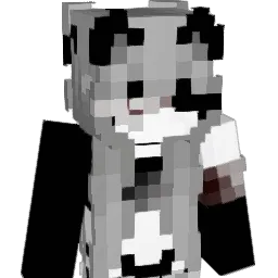 rageCompany_ Minecraft avatar bust