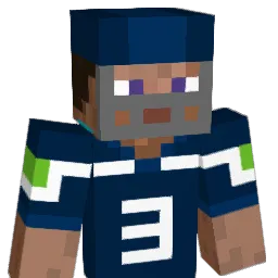 rageagainst3 Minecraft avatar bust