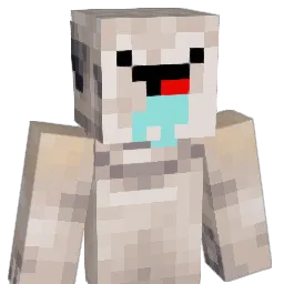 ragoose36 Minecraft avatar bust
