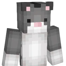 rainbowHonor Minecraft avatar bust