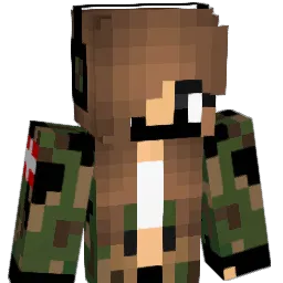 raj101237 Minecraft avatar bust