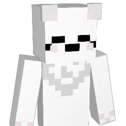 rallzu's Minecraft skin