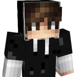 randomperson201 Minecraft avatar bust