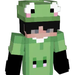raniprox's Minecraft skin