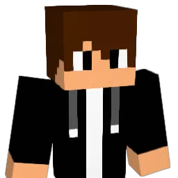 ranz1020 Minecraft avatar bust