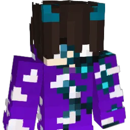 rapozinhagamerb Minecraft avatar bust