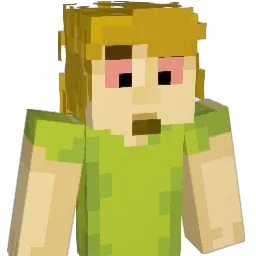 rarihz Minecraft avatar bust
