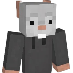 ratatuj_11 Minecraft avatar bust