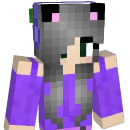rate1116 Minecraft avatar bust