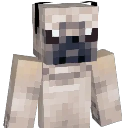 ratpack246 Minecraft avatar bust