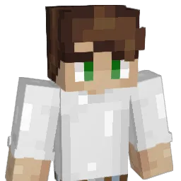 raw_bee Minecraft avatar bust