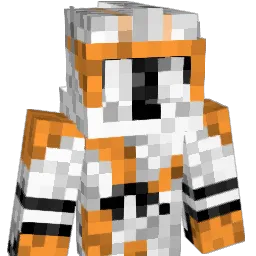 raydwards's Minecraft skin