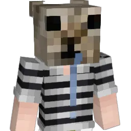 raylima's Minecraft skin
