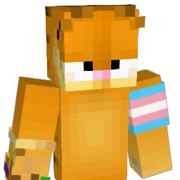 rayman753 Minecraft avatar bust