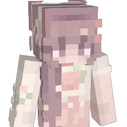 rayrayallday03 Minecraft avatar bust
