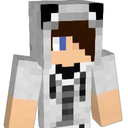 razorbacks42 Minecraft avatar bust
