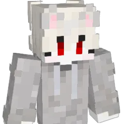 rbdosw Minecraft avatar bust